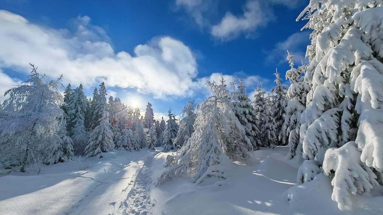 Foto Winterspaziergang von Susanne Abraham 
