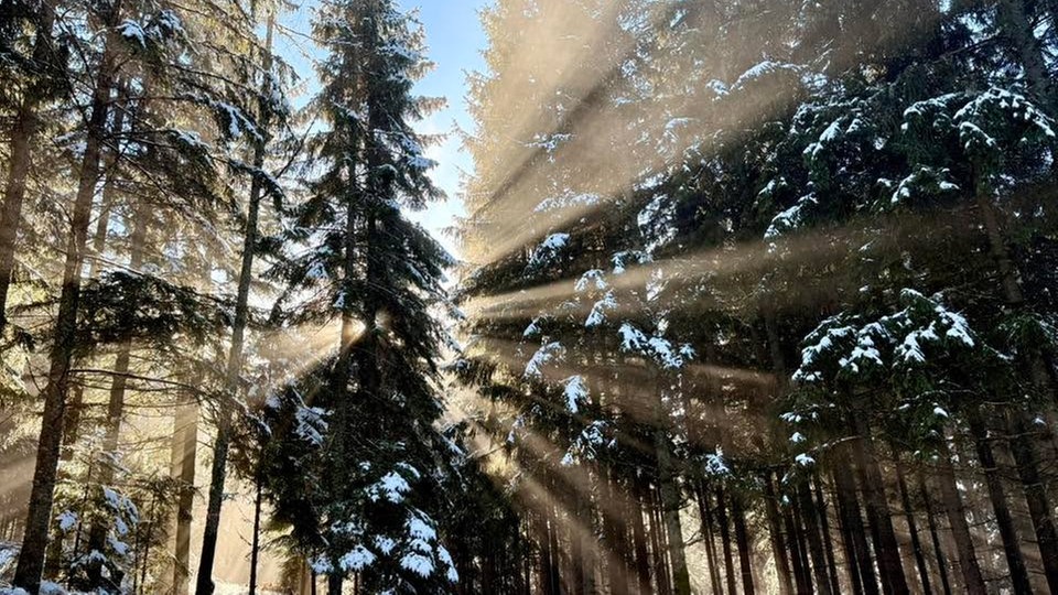 Foto Winterspaziergang Syl-via Ze