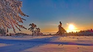 Winterspaziergang Foto von Gerhard Kobbeloer