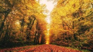 Goldener Oktober