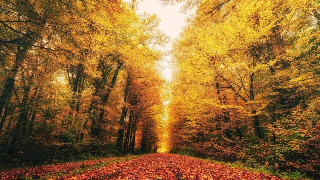 Goldener Oktober