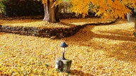Goldener Oktober