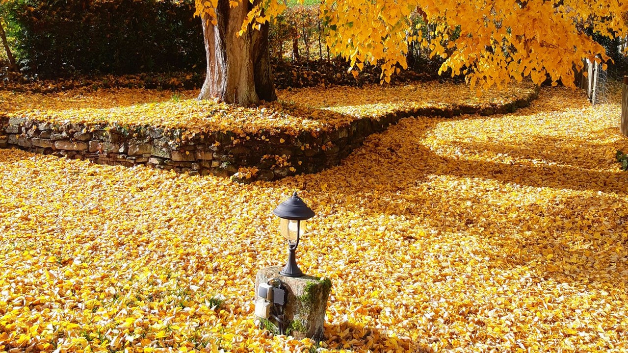 Goldener Oktober