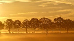 Goldener Oktober