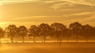 Goldener Oktober