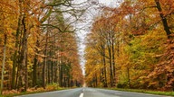 Goldener Oktober