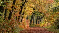 Goldener Oktober