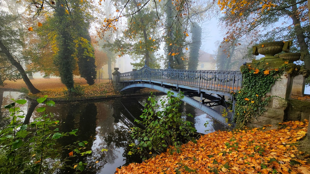 Goldener Oktober