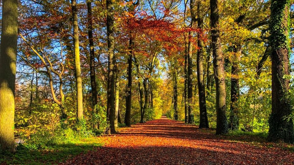 Goldener Oktober