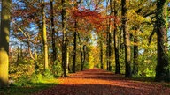 Goldener Oktober