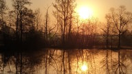 Goldener Oktober
