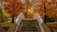 Goldener Oktober