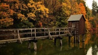 Goldener Oktober