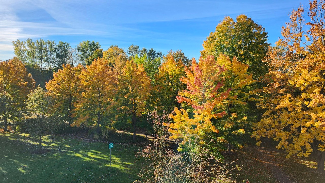 Goldener Oktober