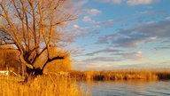 Goldener Oktober