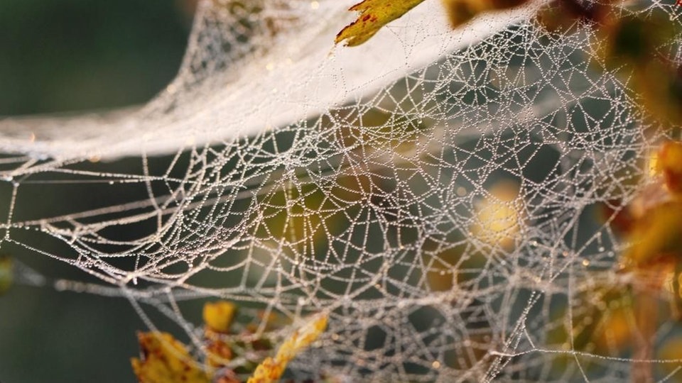 Goldener Oktober