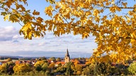 Goldener Oktober