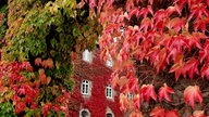 Goldener Oktober