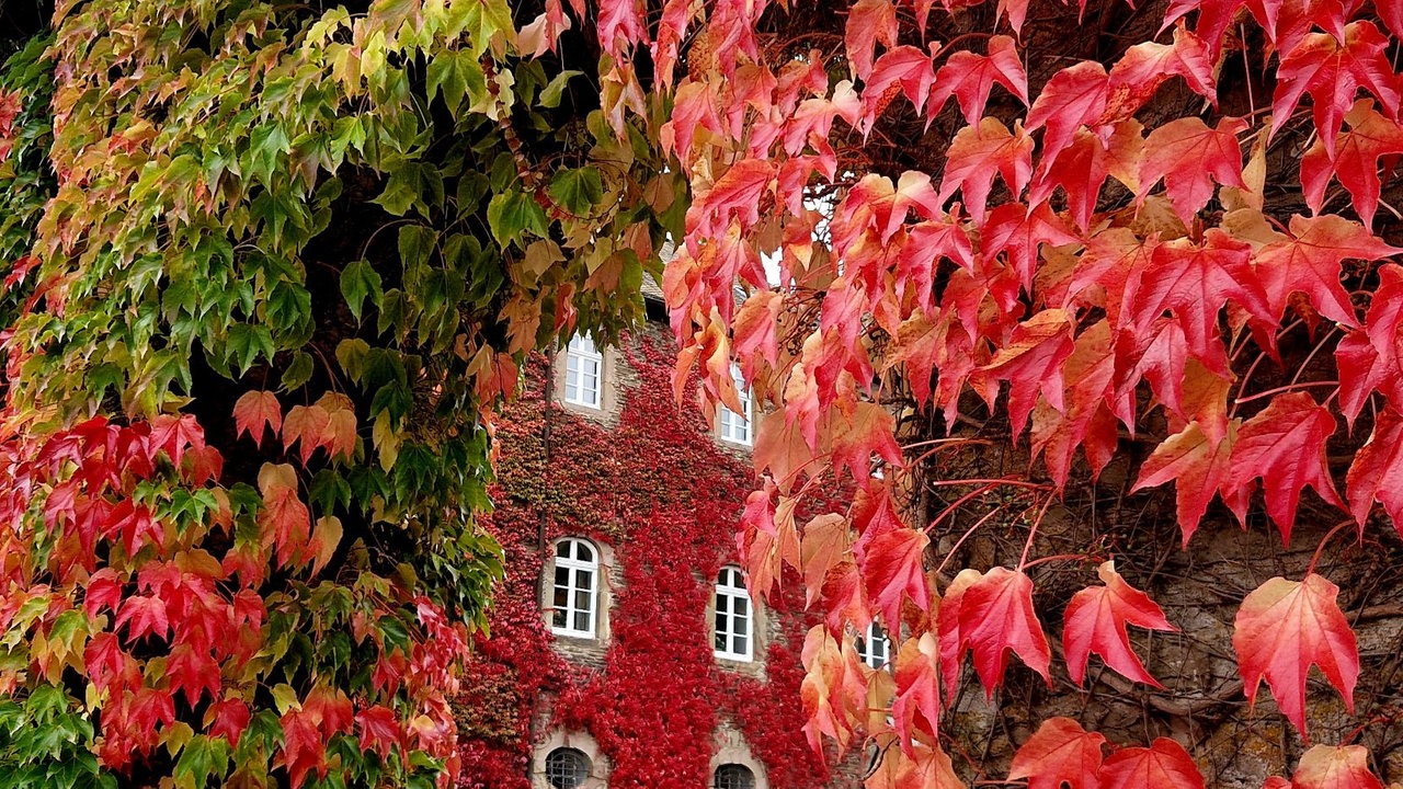 Goldener Oktober
