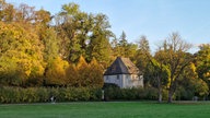 Goldener Oktober