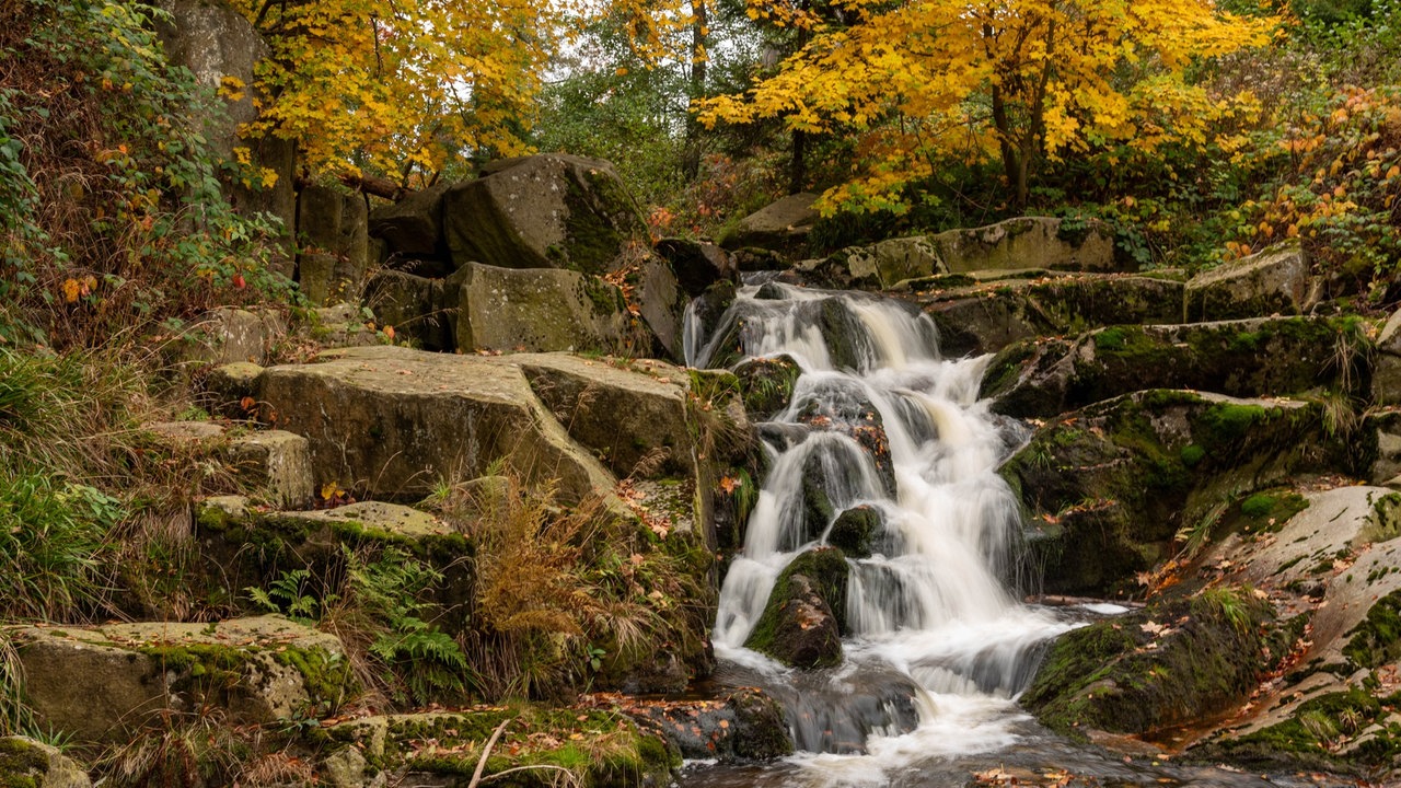 Goldener Oktober