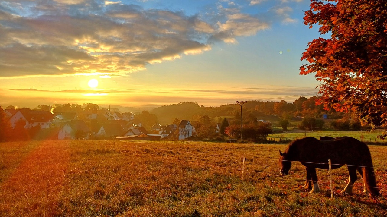 Goldener Oktober