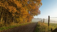 Goldener Oktober