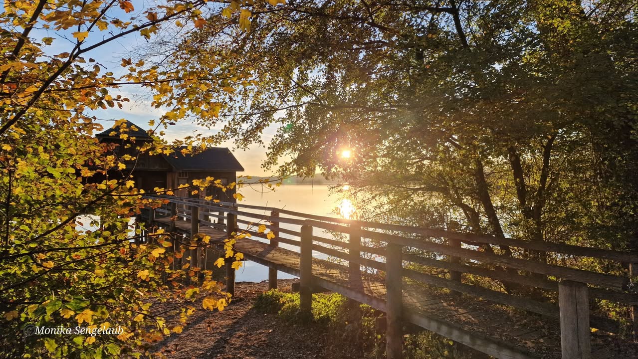 Goldener Oktober