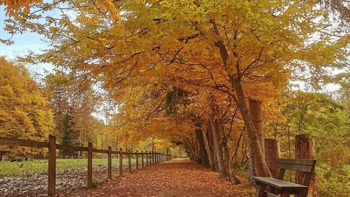 Goldener Oktober