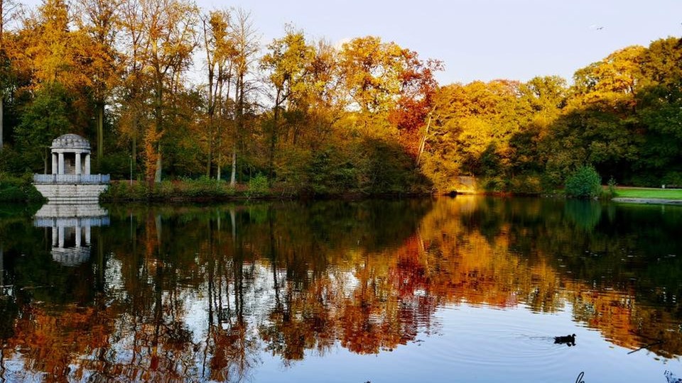 Goldener Oktober