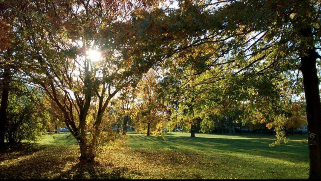 Goldener Oktober