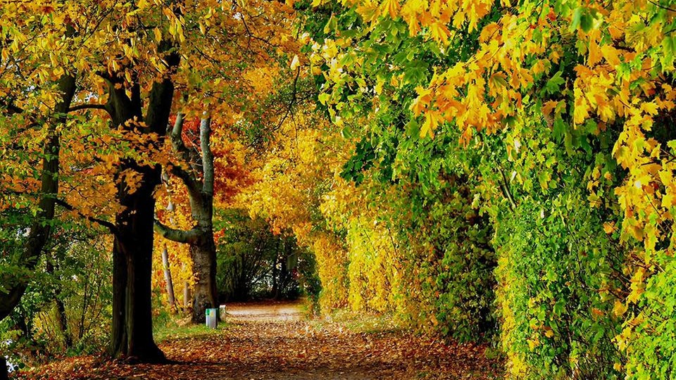 Goldener Oktober