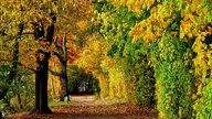 Goldener Oktober