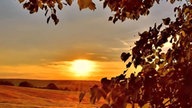 Goldener Oktober