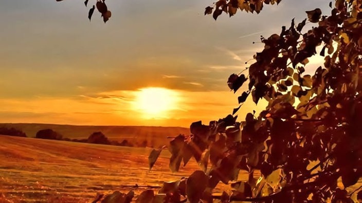 Goldener Oktober