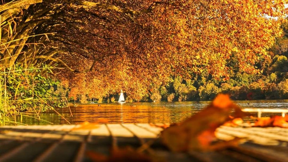 Goldener Oktober