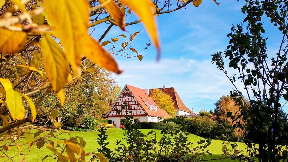 Goldener Oktober