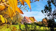 Goldener Oktober