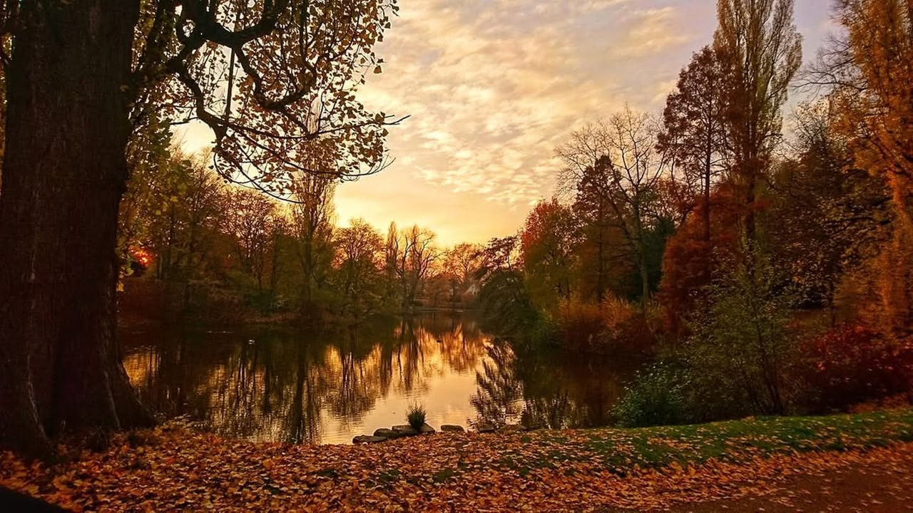 Goldener Oktober