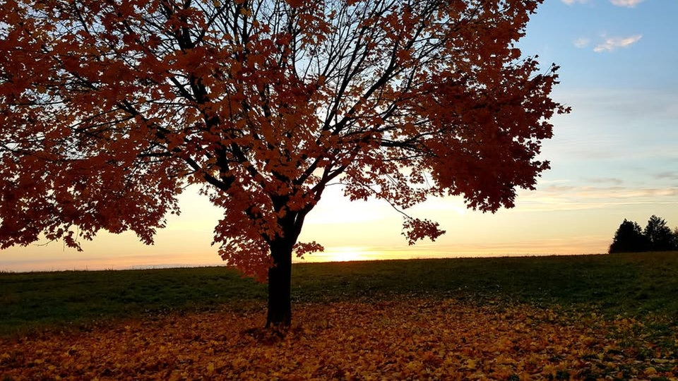 Goldener Oktober