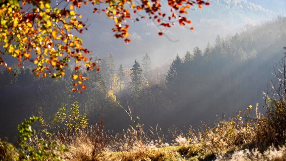 Goldener Oktober