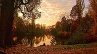 Ihr schönstes Herbstlaub