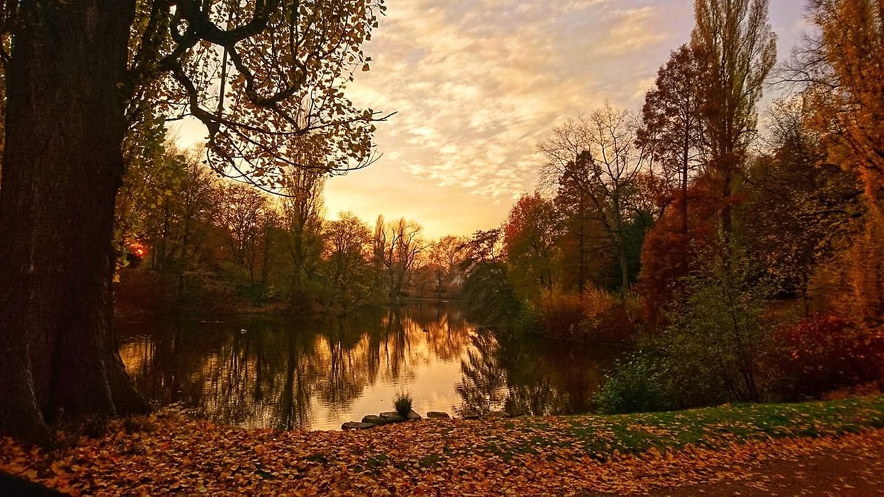 Ihr schönstes Herbstlaub