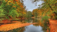 Ihr schönstes Herbstlaub