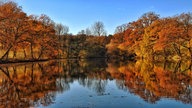 Ihr schönstes Herbstlaub