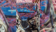 Ihre schönsten Fotos von Kirschblüten
