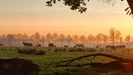 Ihre schönsten Fotos aus dem Herbsturlaub