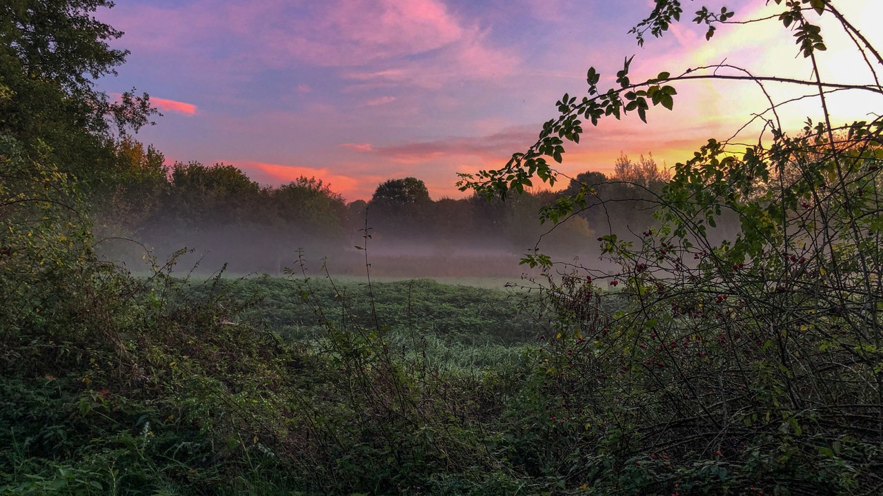 Ihr schönstes Herbsthimmel-Foto