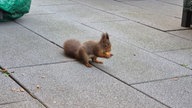 Ihre schönsten Fotos von tierischen Wintergästen