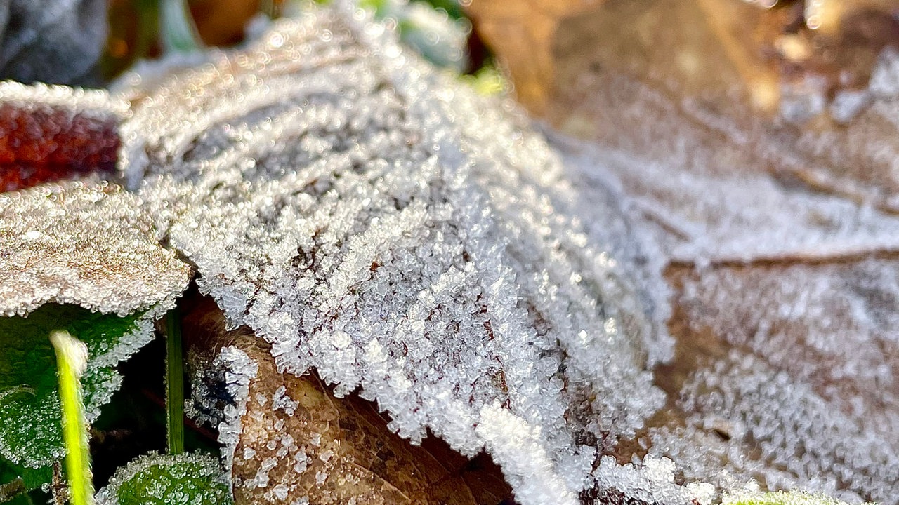 Frostbilder